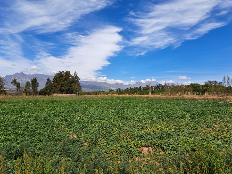 4 Bedroom Property for Sale in Paarl Rural Western Cape